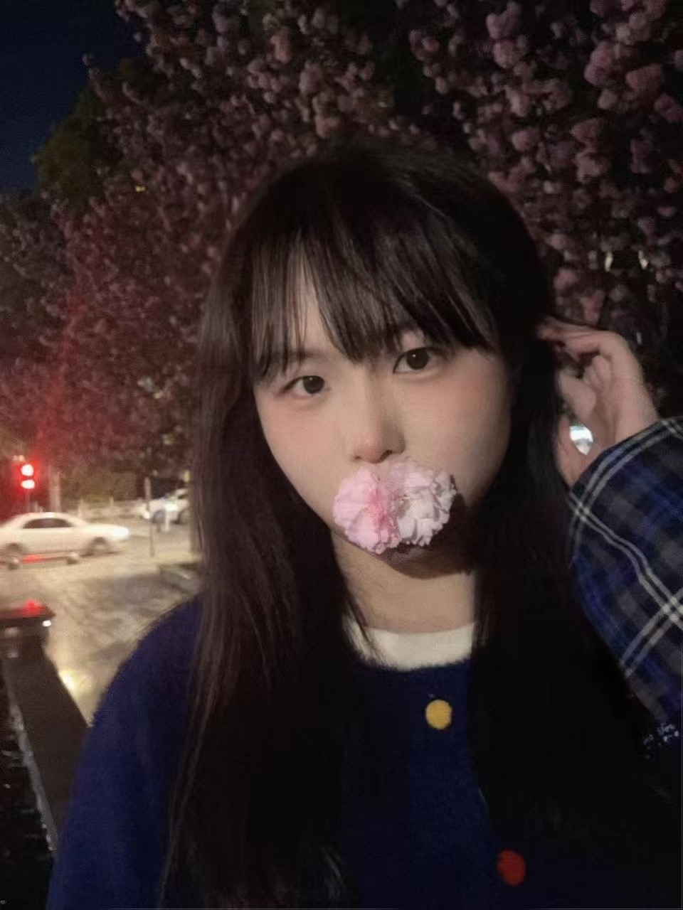 照片17